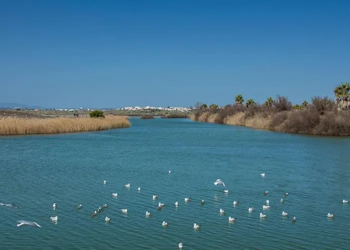 Anchor By Ici Albufeira