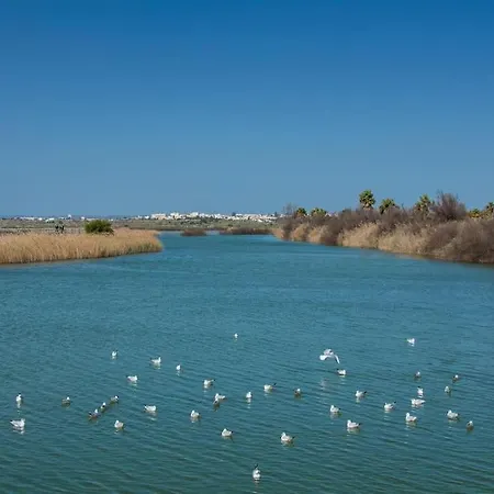 Anchor By Ici Algarve Албуфейра